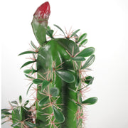100cm Premium Artificial Cactus with pot